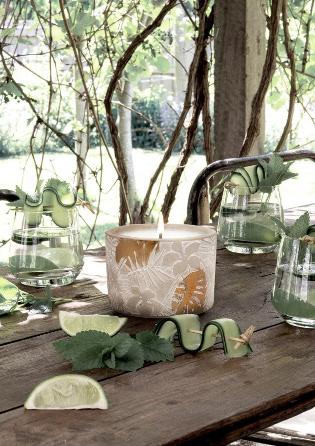 Garden & Outdoors