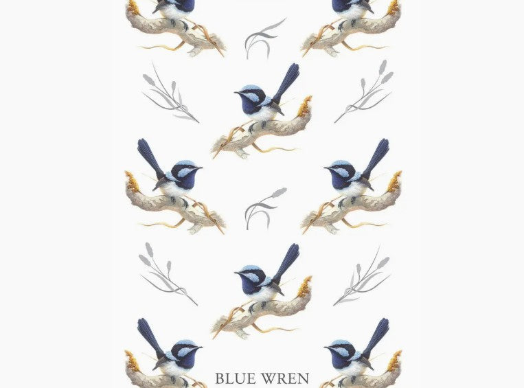 Fairy Wren Poetry