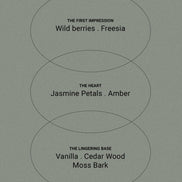 SMITH & CO Amber & Freesia Hand & Body Wash