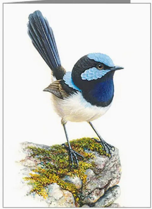 Blue Wren on Mossy Rock Gift Tag