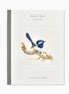 Fairy Wren Notepad