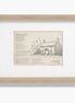 Free by Nature Oak Framed Verse (Limited Edition)