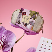 Glasshouse Fragrances Marseille Memoir Hand Care Gift Set