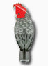 Gang-Gang Cockatoo Bird Brooch