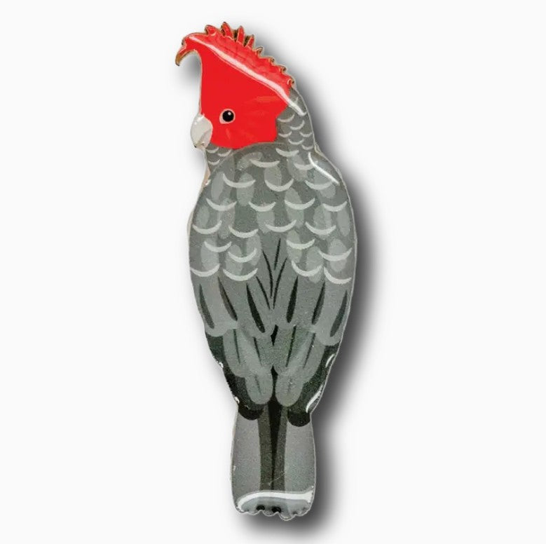 Gang-Gang Cockatoo Bird Brooch