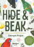Hide and Beak. A guide to spotting Aussie birds in your backyard. By Georgia Angus