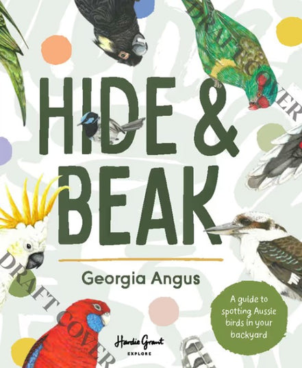 Hide and Beak. A guide to spotting Aussie birds in your backyard. By Georgia Angus