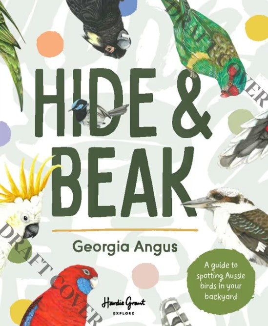 Hide and Beak. A guide to spotting Aussie birds in your backyard. By Georgia Angus