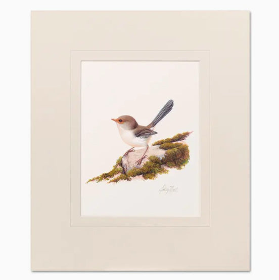 Mounted Print.  Female Blue Wren.  Signed by Artist, Jeremy Boot.