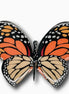 Monarch Butterfly Brooch