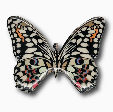 Australian Swallowtail Butterfly Brooch