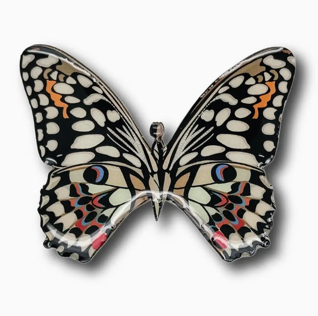 Australian Swallowtail Butterfly Brooch