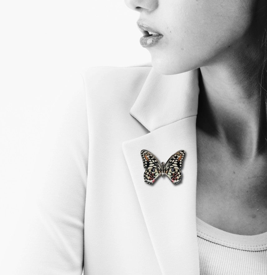 Australian Swallowtail Butterfly Brooch