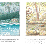 The Turtle and the Flood. The second picture book in the powerful series about climate disaster from an award-winning Australian duo. By Jackie French and Danny Snell (Illustrator)