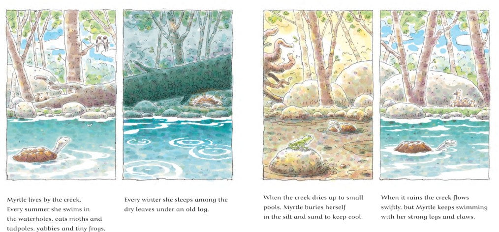 The Turtle and the Flood. The second picture book in the powerful series about climate disaster from an award-winning Australian duo. By Jackie French and Danny Snell (Illustrator)