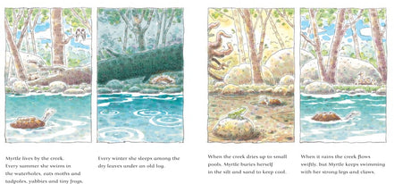 The Turtle and the Flood. The second picture book in the powerful series about climate disaster from an award-winning Australian duo. By Jackie French and Danny Snell (Illustrator)