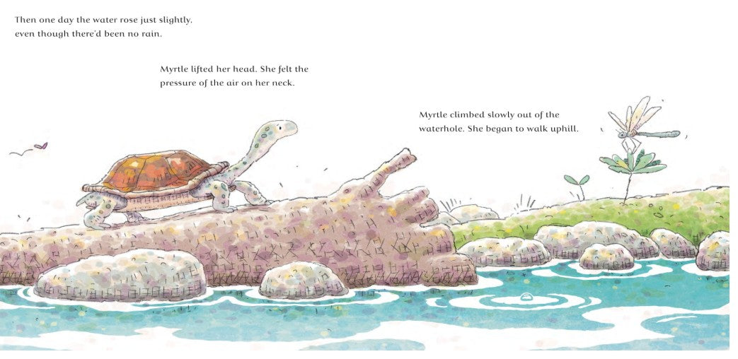 The Turtle and the Flood. The second picture book in the powerful series about climate disaster from an award-winning Australian duo. By Jackie French and Danny Snell (Illustrator)