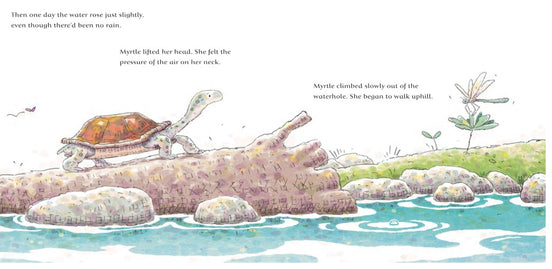The Turtle and the Flood. The second picture book in the powerful series about climate disaster from an award-winning Australian duo. By Jackie French and Danny Snell (Illustrator)