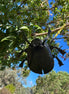 Ultra Dung Beetle One-of-a-Kind Metal Sculpture