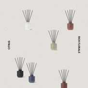 SMITH&CO. Amber & Freesia Reed Diffuser 50ml