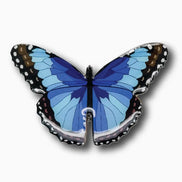 Blue Butterfly Brooch
