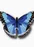 Blue Butterfly Brooch