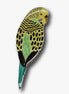 Budgerigar Brooch