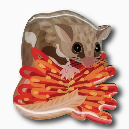 Sugar Glider & Grevillea Brooch