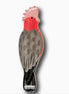 Galah Brooch