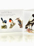 Australia's Popular Birds Folder.