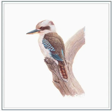 Australia's Popular Birds Folder.