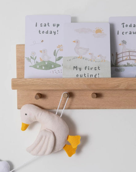 Goosy Goosy Baby Milestone Cards