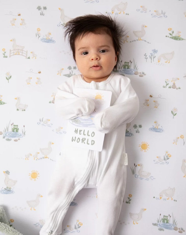 Goosy Goosy Baby Milestone Cards