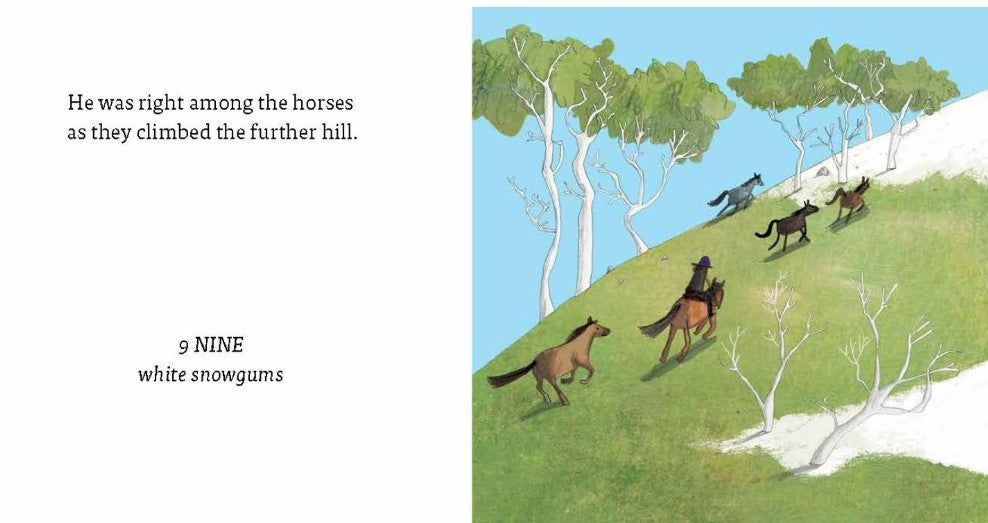 The Man From Snowy River Australian Classics for Little Ones. Board Book. By Banjo Paterson. Cate James (Illustrator)