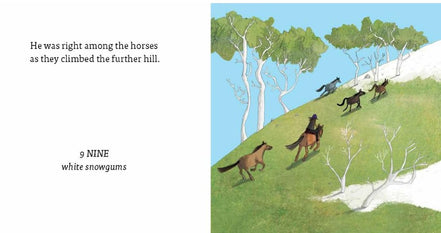 The Man From Snowy River Australian Classics for Little Ones. Board Book. By Banjo Paterson. Cate James (Illustrator)