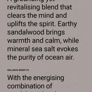 THERAPY MAN Sea Salt & Sandalwood Shaving Cream