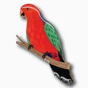 Australian King Parrot Brooch