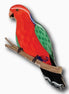 Australian King Parrot Brooch