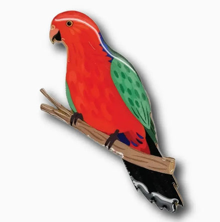 Australian King Parrot Brooch