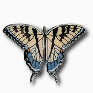 Tiger Swallowtail Butterfly Brooch