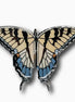 Tiger Swallowtail Butterfly Brooch